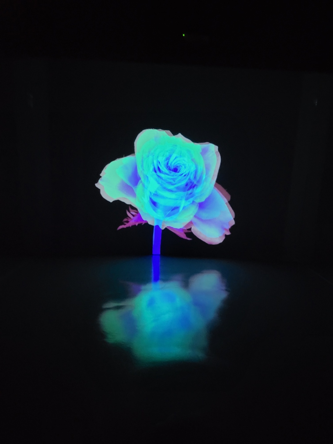 프로필 대표 이미지